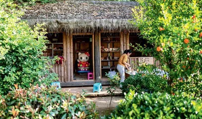 云南腾冲：佤族村，幸福生活像花儿一样