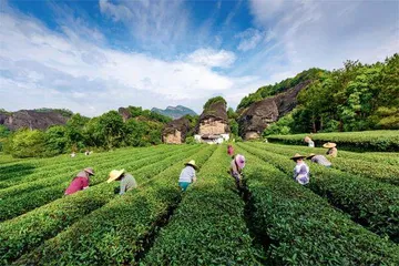 总书记的民生牵挂