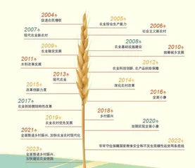 连续20年  一号文件重点划“三农”