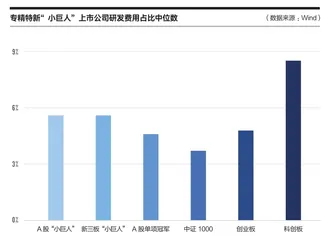 从“专精特新”到“隐形冠军”1