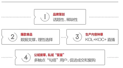 从网红品牌到国货之光，要经历何种蜕变？0