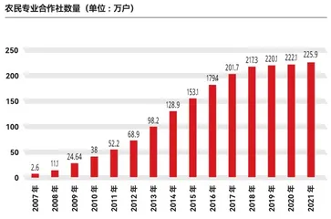 供销社三问1