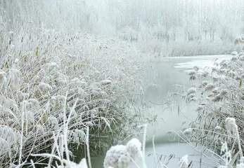 那年初雪1