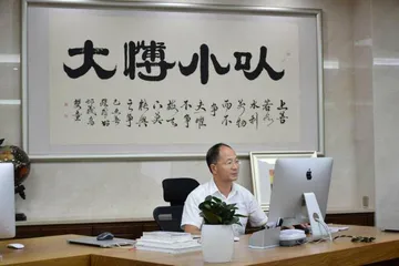 《败局启示录》：铩羽暴鳞，复见翻越5