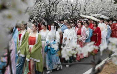 曹县“出圈”这一年