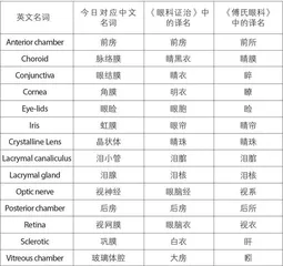 聂会东的未竟之志