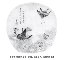 蝶恋花：探花及第及其他0