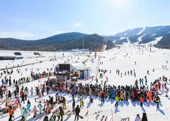 滑雪教练成了香饽饽