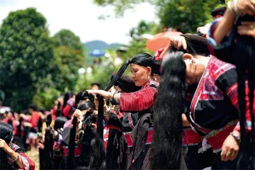 广西龙胜：水稻“风景线”　梯田“金饭碗”