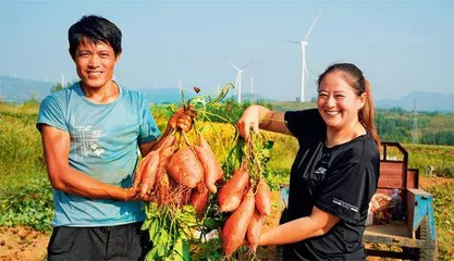 山东安丘：让高质量农业落地生根