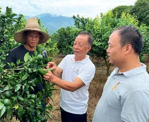 老“农技员”杨荣福：携技返乡再造田园牧歌