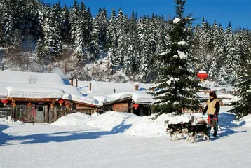 打卡雪乡：浓浓年味迎新年4