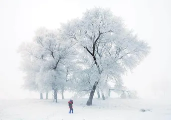 打卡雪乡：浓浓年味迎新年8