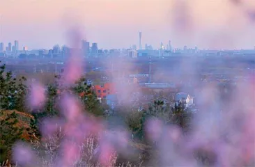 春花扮京城0