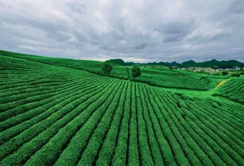 贵州:“富矿精开”，勇闯新路 