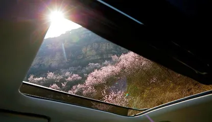 遇见北京最美的春天山桃花开3