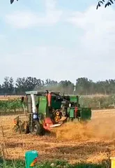 一场和暴雨赛跑的麦收搞得惊心动魄2