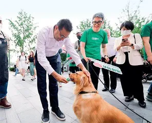 意料之外，情理之中：星巴克在中国开9000家店1