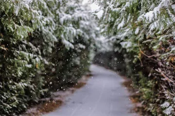 北京的冰雪浪漫9