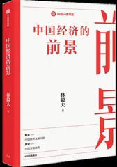 专访林毅夫：2022年，中国经济增长的动力在哪里？1