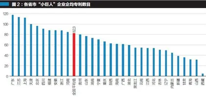 专精特新“小巨人”企业画像1