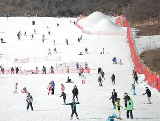 冬奥之火点燃大江南北冰雪消费