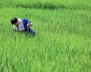 农业龙头企业吹响生物育种冲锋号0