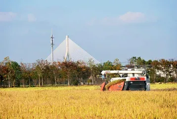 无人农场破解“谁来种地”难题0