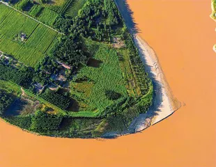 黄河流域“绿”“富”共赢