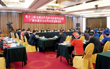 2021全国两会：共赴一场春天的盛会8