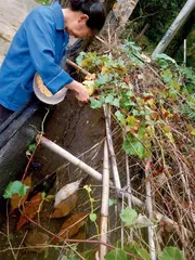 乡村“银发族”怎么过晚年0