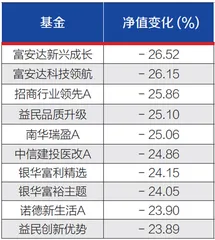 基金经理陷入舆论漩涡1