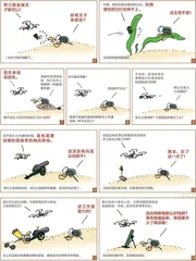 漫画轻兵器之二十六　无人机！无人机！（5）2