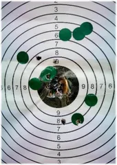 狙击手基础射击技术3