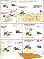 漫画轻兵器之二十六无人机！无人机！（2）2