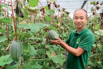 张同学火“出圈”，新农人站上乡村振兴C位1