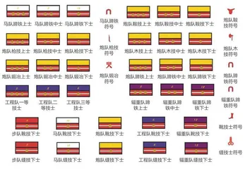  刘欣专栏 军队的基石4