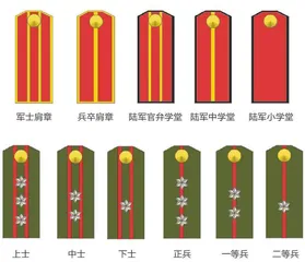  刘欣专栏 军队的基石5