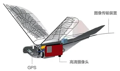 战场潜伏者：仿生智能微型无人机4