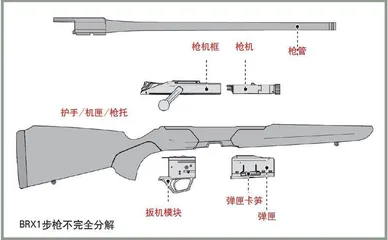 进军猎枪领域伯莱塔BerettaBRX1直拉枪机式步枪1