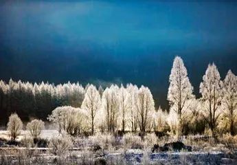 新年，感受一场冬雪9