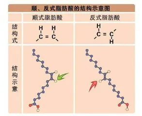 反式脂肪酸的“罪名”是氢化给的1