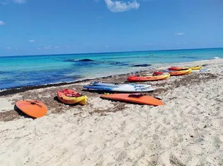 北非海岸线 2