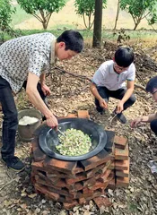 吃饭饮茶 防疰夏