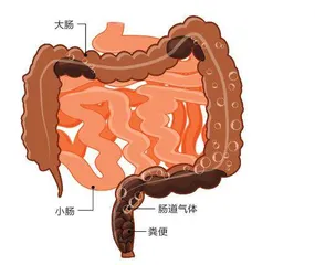 老叶这下子真正轻松了1