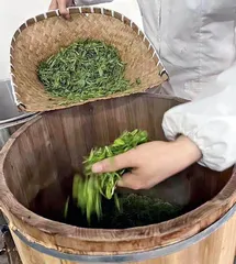 蒸青绿茶 紫笋茶饼1