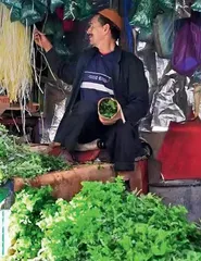 薄荷叶和苏式绿豆汤3