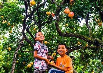 电连巴山新居5