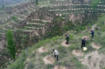 山西大宁：在绿水青山中富起来