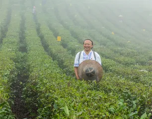 全国人大代表龙献文：牛角山村牛起来了0